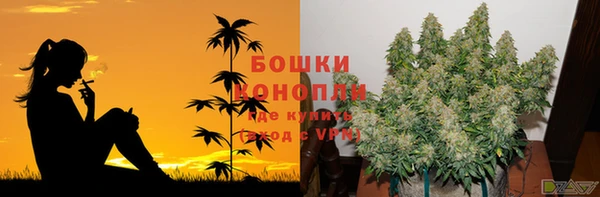 стафф Покачи
