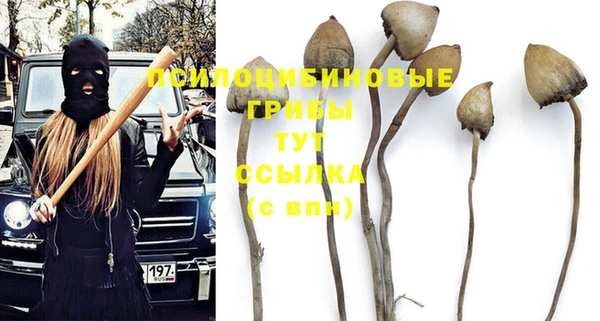 марки nbome Алзамай