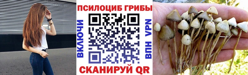 Псилоцибиновые грибы MAGIC MUSHROOMS Бирск