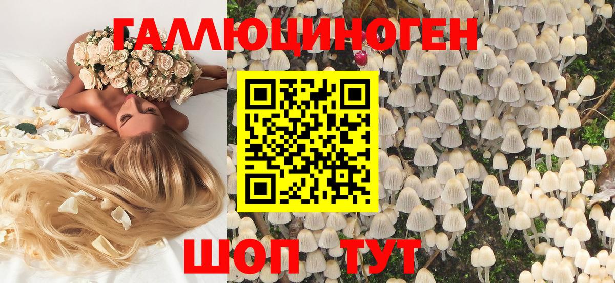 Галлюциногенные грибы Magic Shrooms Бирск