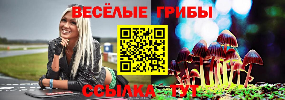 Бирск  Галлюциногенные грибы Cubensis  Вход с VPN  Галлюциногенные грибы мицелий 